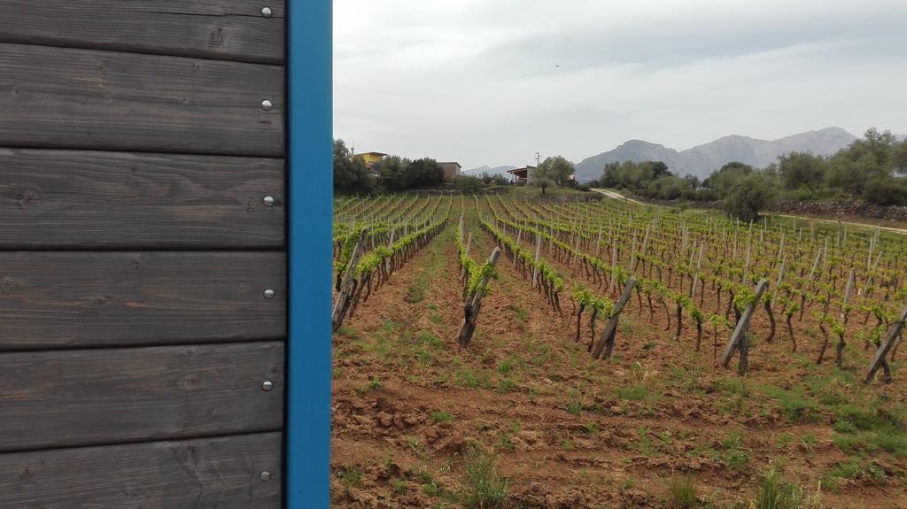 Naramanue Villa Dorgali Bagian luar foto