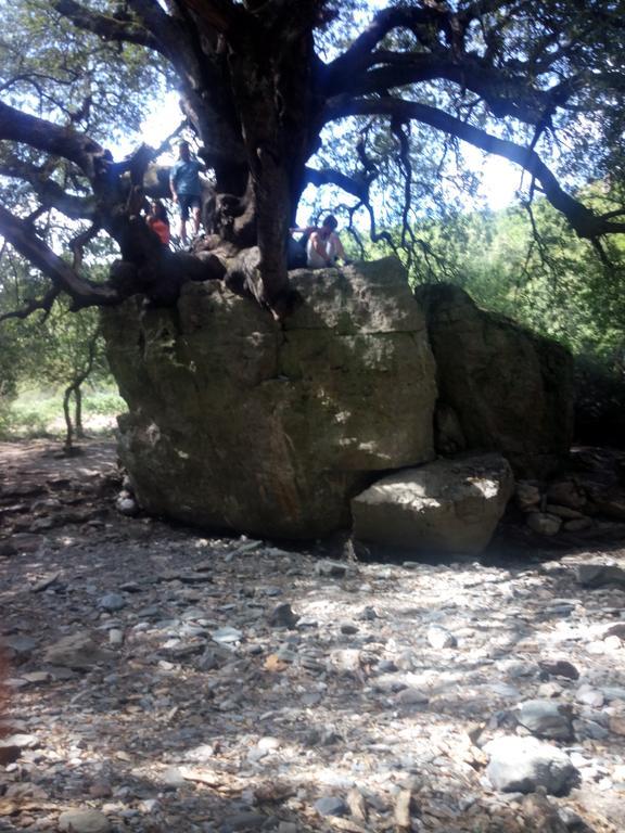 Naramanue Villa Dorgali Bagian luar foto