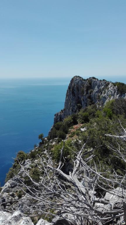 Naramanue Villa Dorgali Bagian luar foto