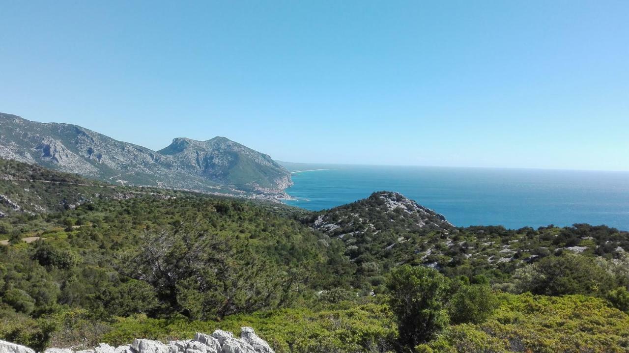Naramanue Villa Dorgali Bagian luar foto