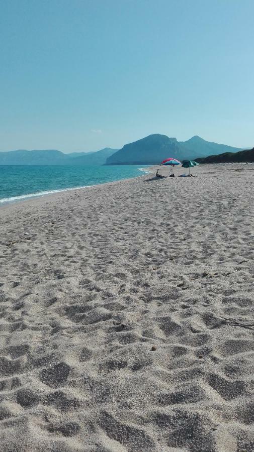 Naramanue Villa Dorgali Bagian luar foto